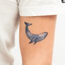 Ecological Temporary Tattoo